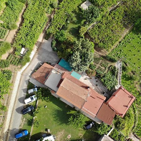 Pensjonat Agriturismo Mare E Monti Tramonti Zewnętrze zdjęcie