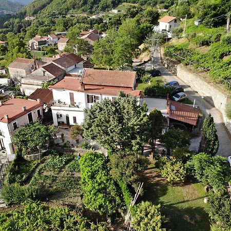 Pensjonat Agriturismo Mare E Monti Tramonti Zewnętrze zdjęcie