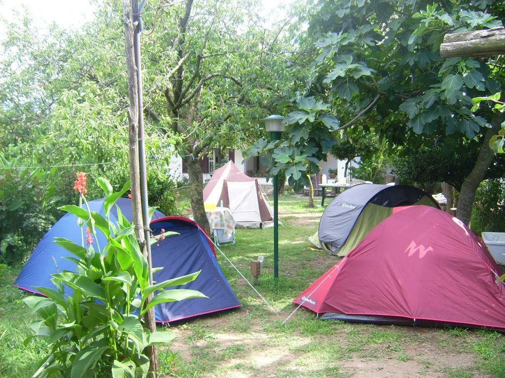 Pensjonat Agriturismo Mare E Monti Tramonti Zewnętrze zdjęcie