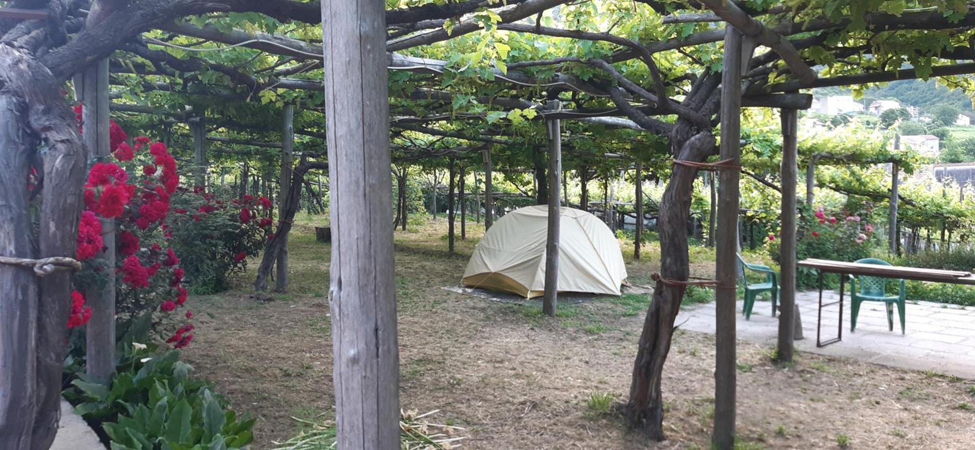 Pensjonat Agriturismo Mare E Monti Tramonti Zewnętrze zdjęcie