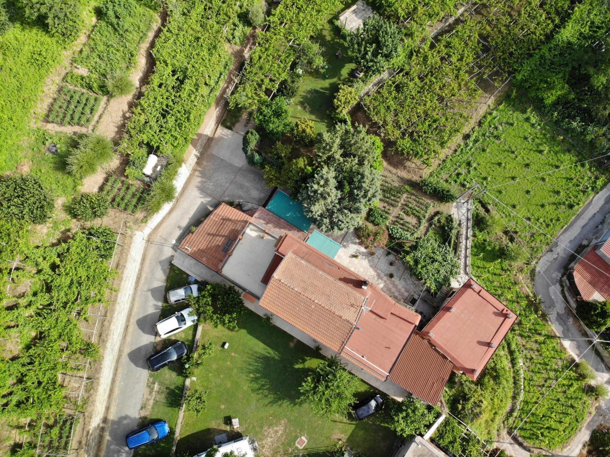 Pensjonat Agriturismo Mare E Monti Tramonti Zewnętrze zdjęcie