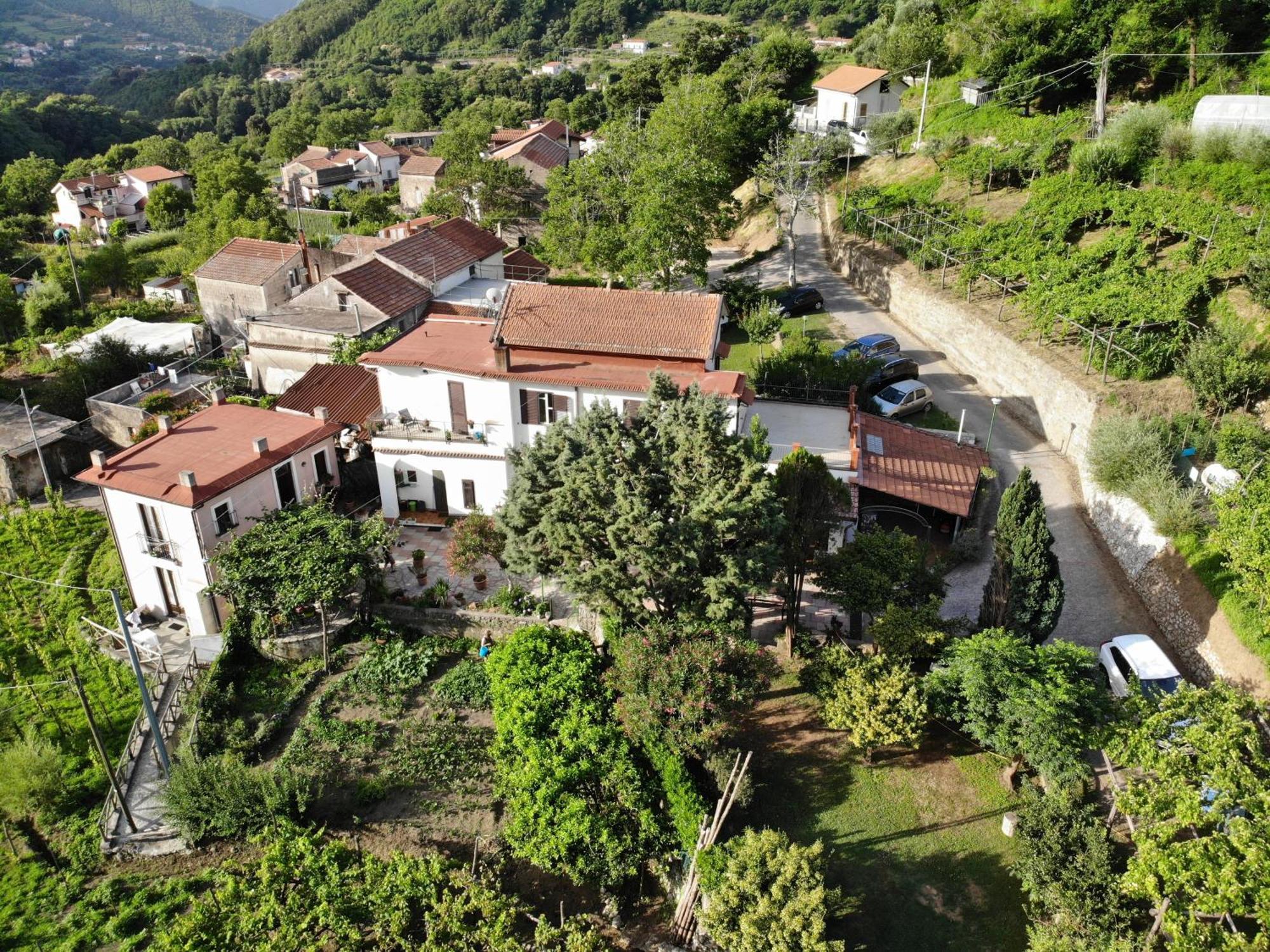 Pensjonat Agriturismo Mare E Monti Tramonti Zewnętrze zdjęcie