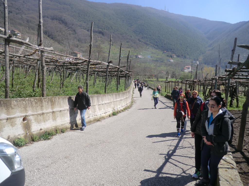 Pensjonat Agriturismo Mare E Monti Tramonti Zewnętrze zdjęcie